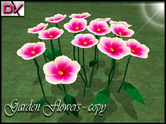 vendor Garden flowers hibiscus pink