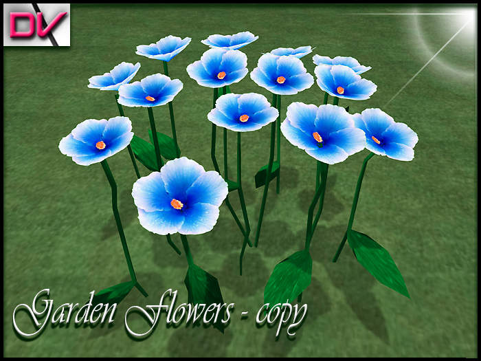 vendor Garden flowers hibiscus blue