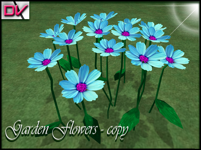 vendor Garden flowers Cosmos light blue