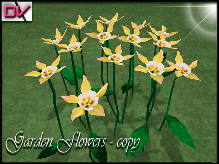 vendor Garden flowers Columbine-Flower yellow