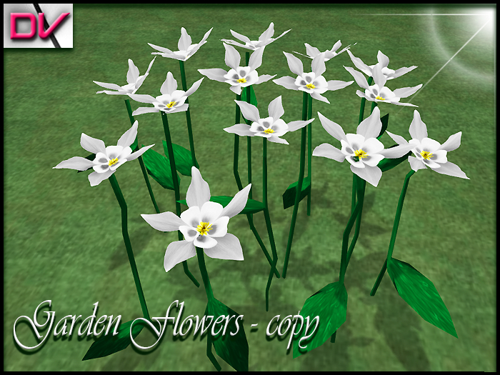 vendor Garden flowers Columbine-Flower white