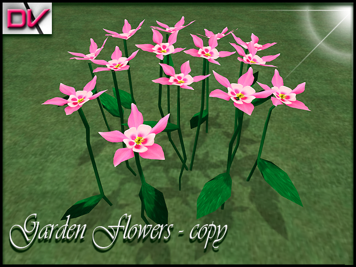 vendor Garden flowers Columbine-Flower pink