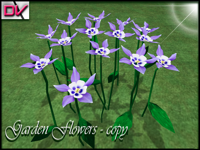 vendor Garden flowers Columbine-Flower origin