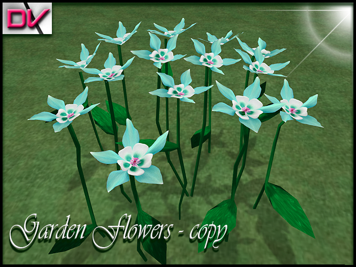 vendor Garden flowers Columbine-Flower mint