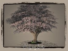 EV - Magnolia Special Soft Pink