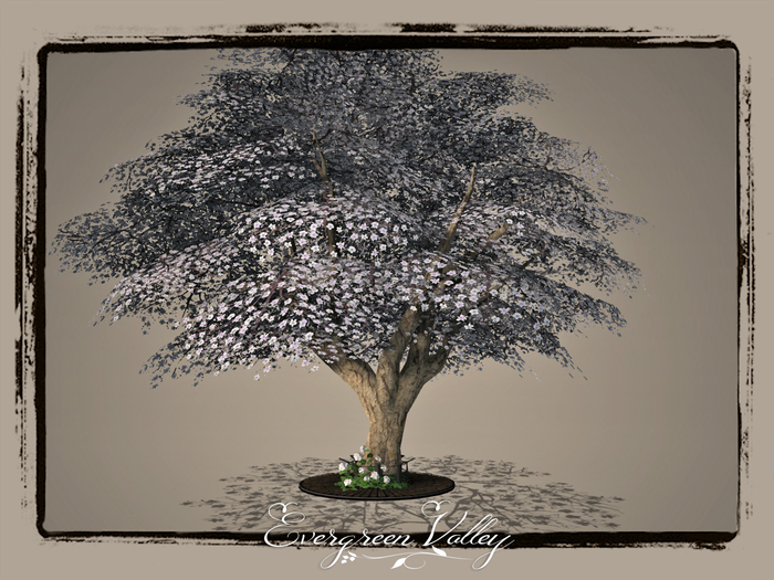 EV - Magnolia Special Soft Blue