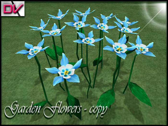 vendor Garden flowers Columbine-Flower blue