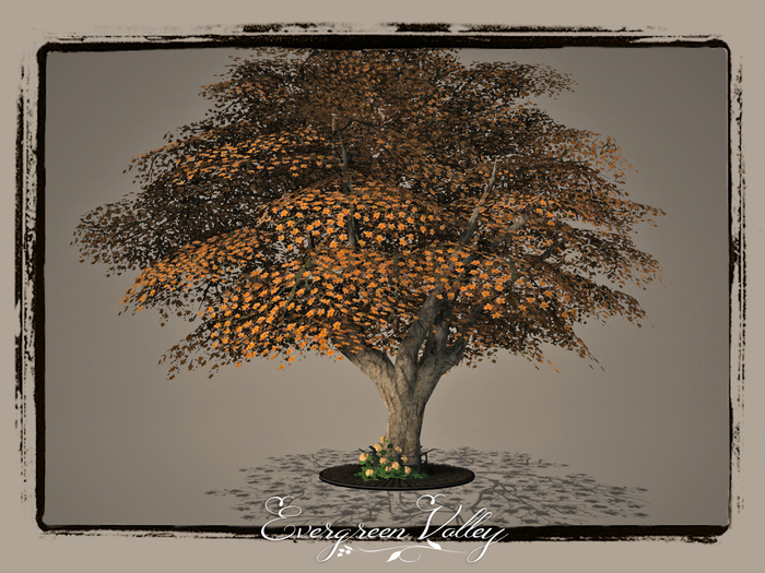 EV - Magnolia Special Orange