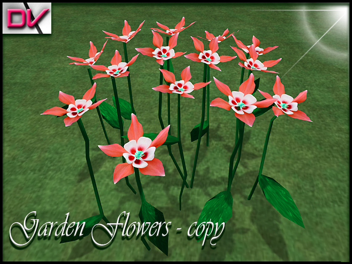 vendor Garden flowers Columbine-Flower red