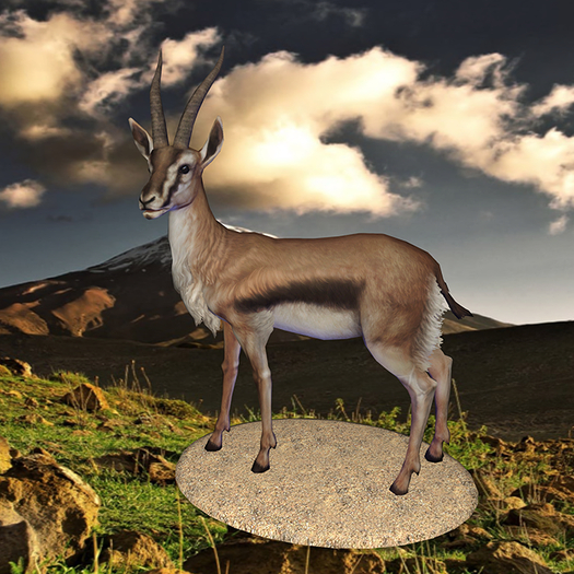 Gazelle Tip Jar