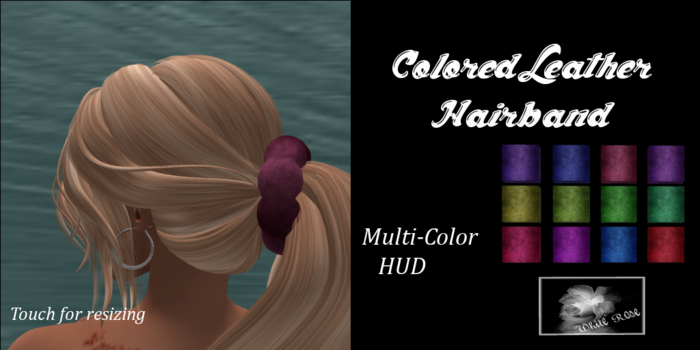 Colored Leather Hairband (bagged) ADD