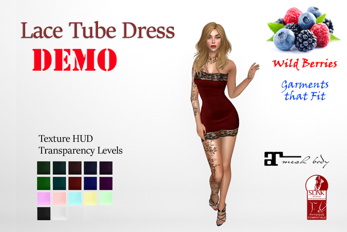 DEMO #3M Lace Tube Dress