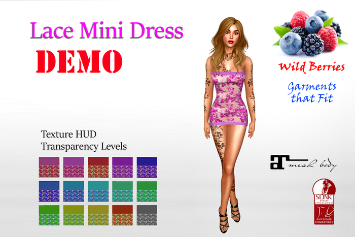 DEMO #3M Lace Mini Dress