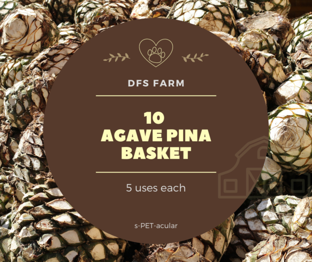 [10] DFS Agave Pina Basket