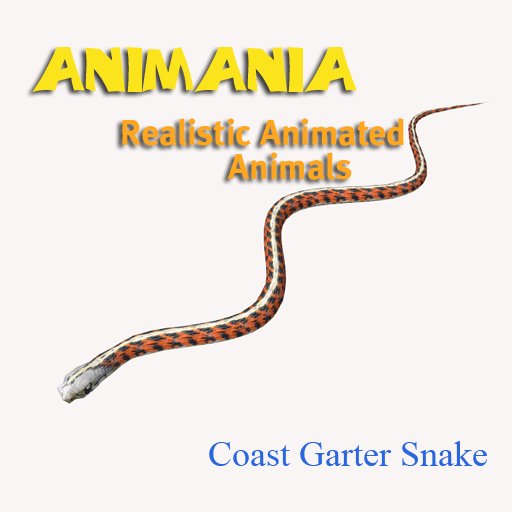 Animania Coast Garter Snake