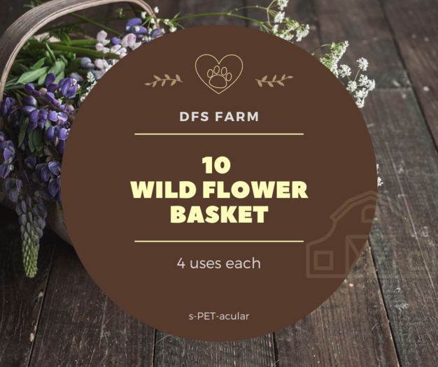 [10] DFS Flowers - Wild Flower Basket