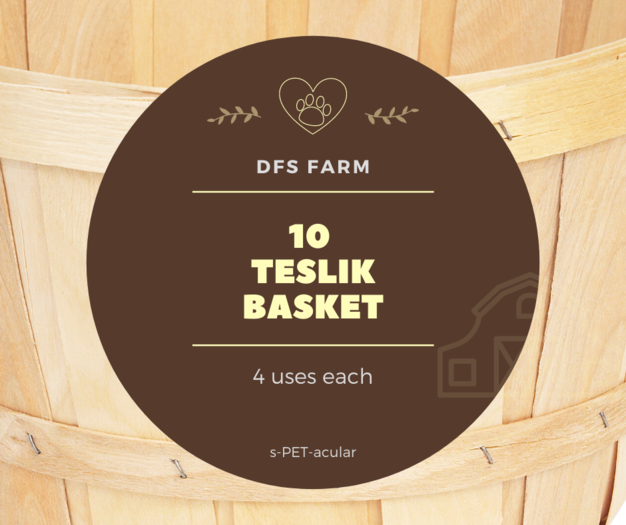 [10] DFS Teslik Basket