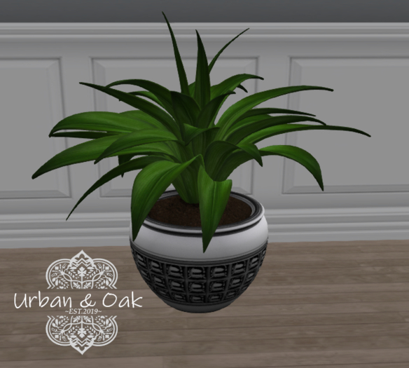 {U&O} House Plant