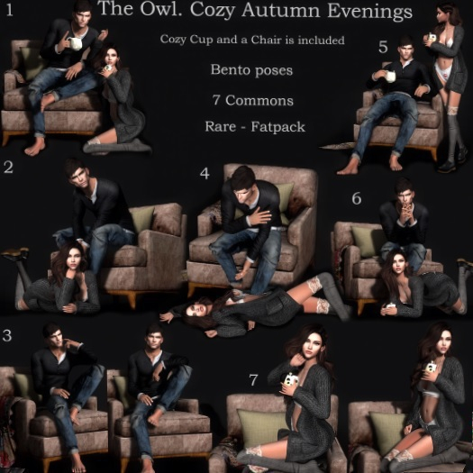 The Owl. Cozy Autumn Evenings 7