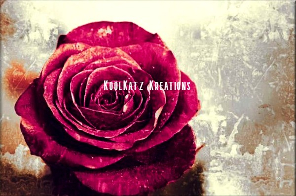 { KoolKatz Kreations }Wall Art (boxed) - Grunge Rose