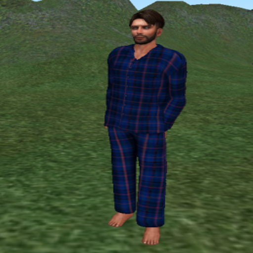 Blue Plaid Pajamas (boxed)