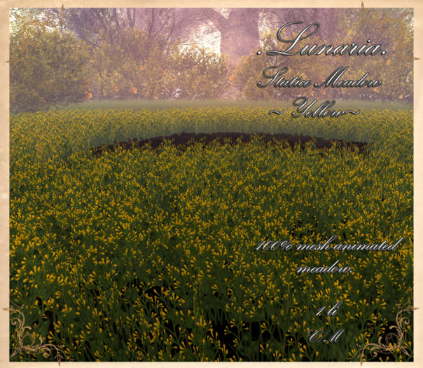 .Lunaria. Statice Meadow - Yellow 