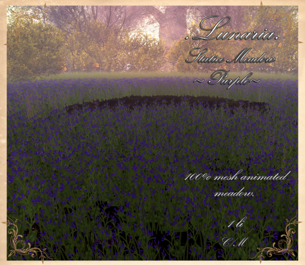 .Lunaria. Statice Meadow - Purple 