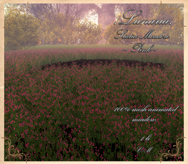 .Lunaria. Statice Meadow - Pink 