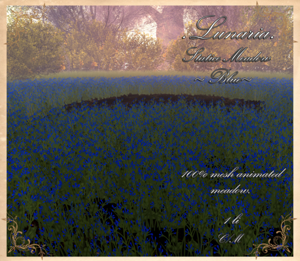 .Lunaria. Statice Meadow - Blue 