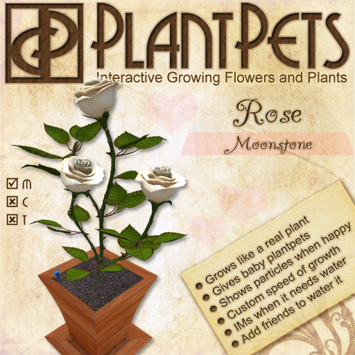 PlantPet Seed [Rose *Moonstone*]