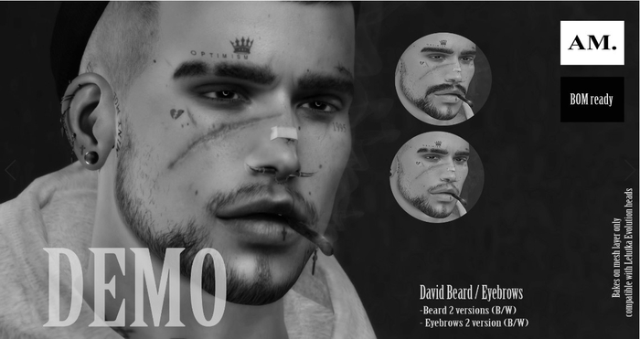 AM. - David // Demo
