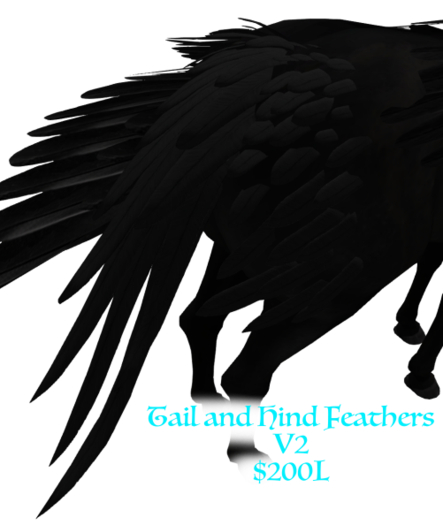 {EP} Horse Feathers Black V2 Box