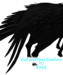 Tailfeathers%20black%20v2%20ad