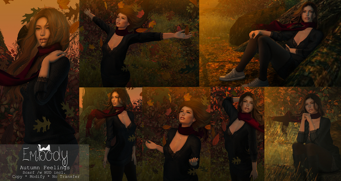 Embody - Autumn Feelings Bento Pose Set