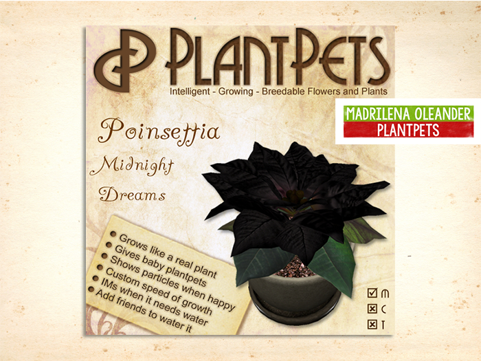 PlantPet Seed [Poinsettia *Midnight Dreams*]