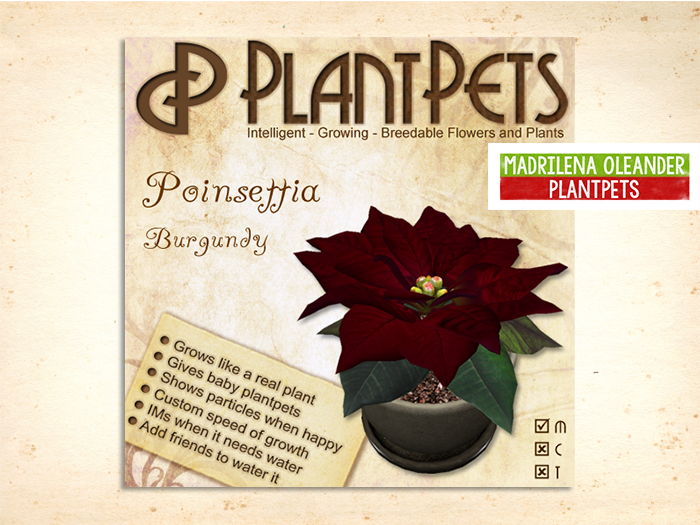 PlantPet Seed [Poinsettia *Burgundy*]