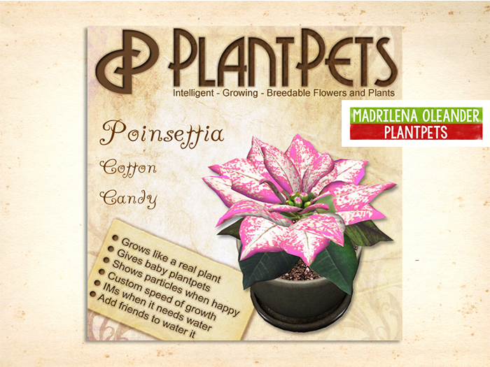 PlantPet Seed [Poinsettia *Cotton Candy*]