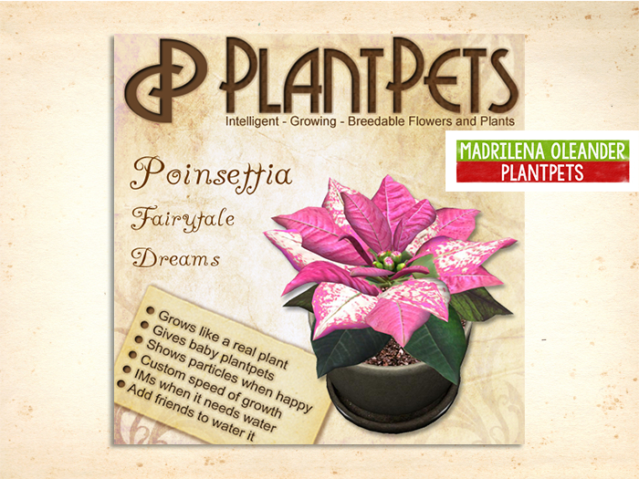 PlantPet Seed [Poinsettia *Fairytale Dreams*]