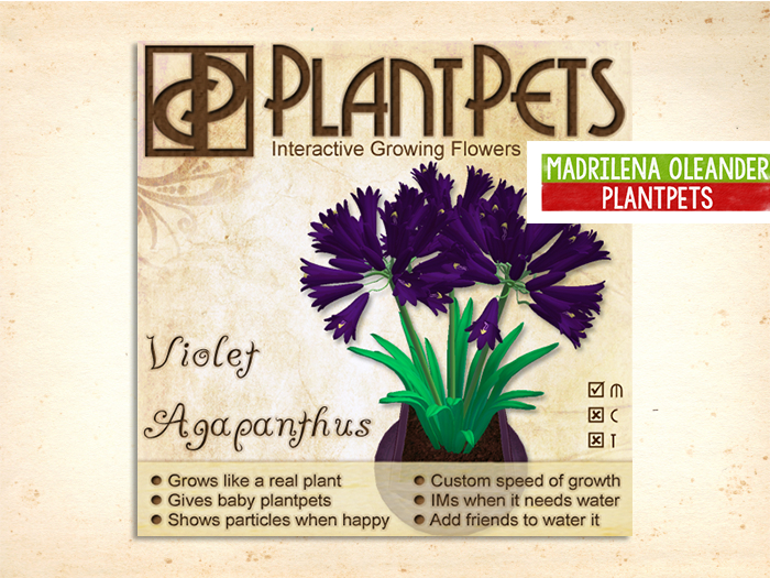 PlantPet Seed [Agapanthus *Violet*]