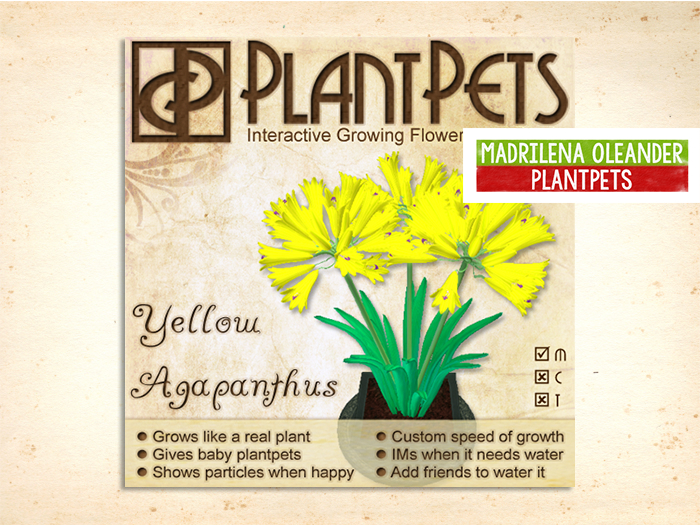 PlantPet Seed [Agapanthus *Yellow*]