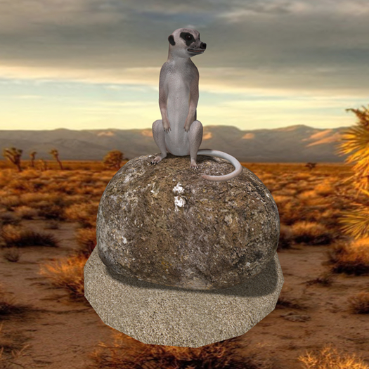 MEERKAT Tip Jar