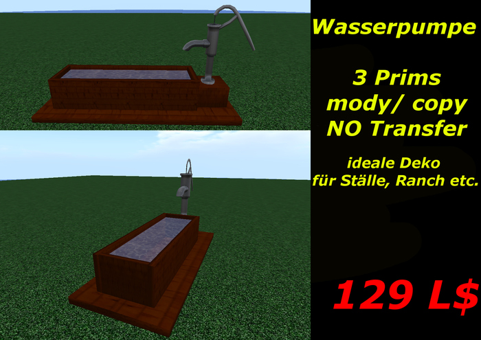 Wasserpumpe