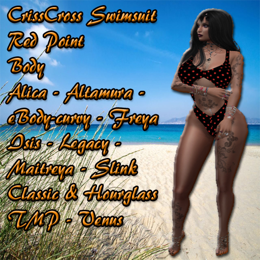 CrissCross Swimsuit Red Point BOX