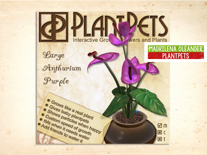 PlantPet Seed [Large Anthurium *Purple*]