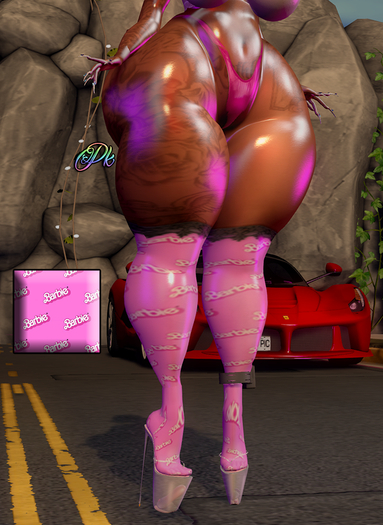 $ .W. Barbie Stockings