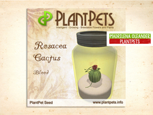 PlantPet Seed [Rosacea Cactus *Blood*]