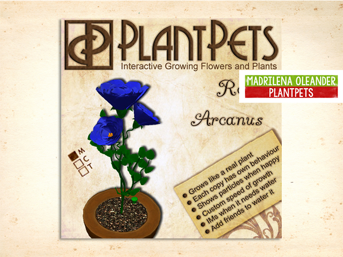 PlantPet Seed [Rosa *Arcanus*]