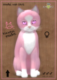 KittyCatS Box - Chateau Cat - Pink & White No. 1 - Gerbera Pink