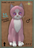 KittyCatS Box - Chateau Cat - Pink & White No. 1 - Gerbera Purple