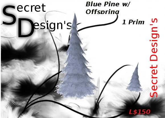 Tween Designs !!!...Blue  pine with Offspring